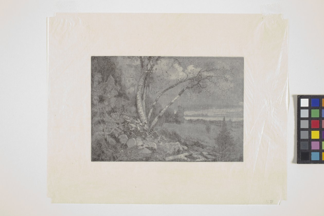 Paisagem (gravura em madeira) de School American