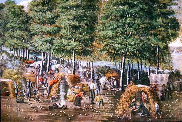 O Milagre da Codorniz (cor litho) de School American