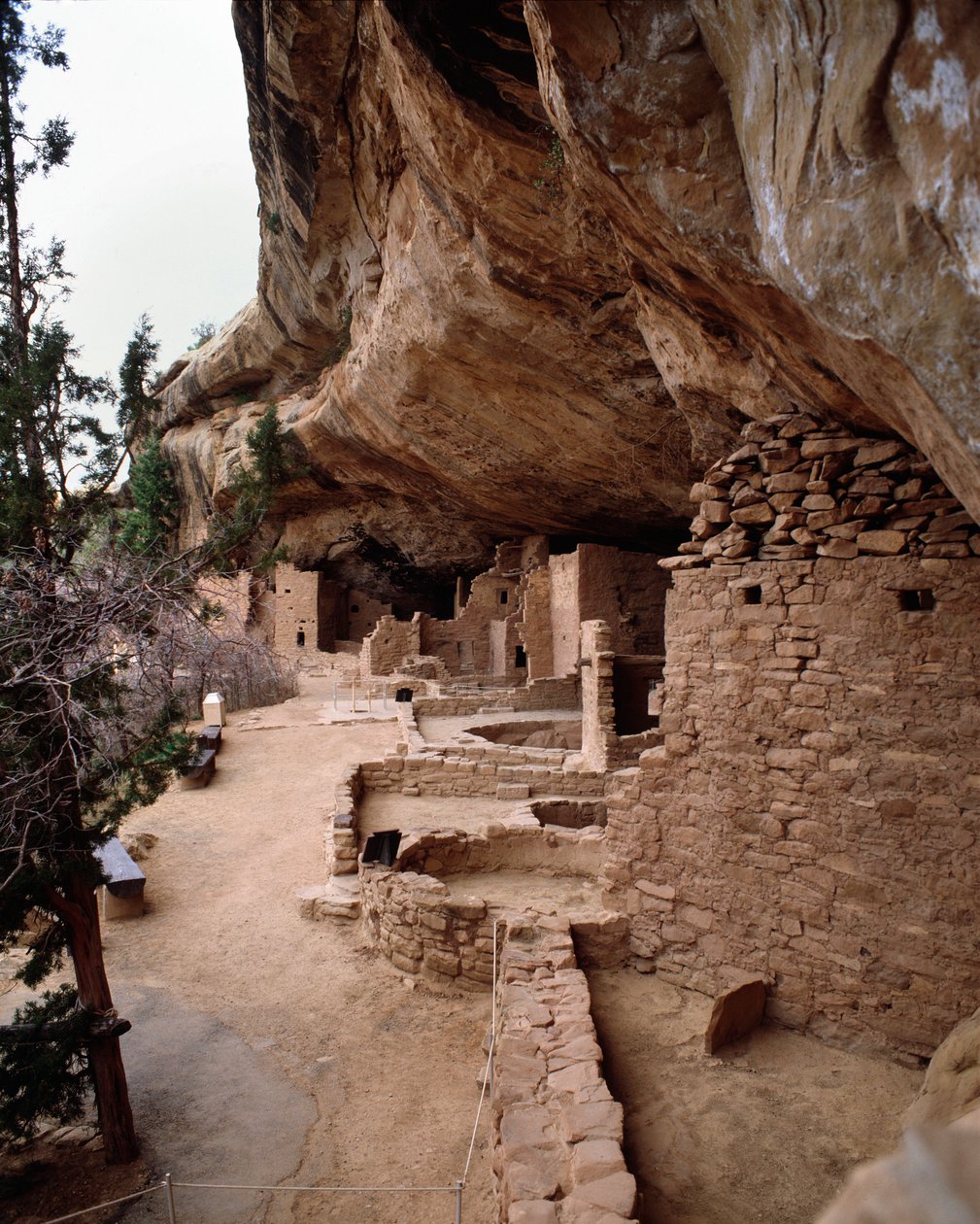 Vista do site da casa da árvore do abeto (1993, Fotografia) de School Anasazi