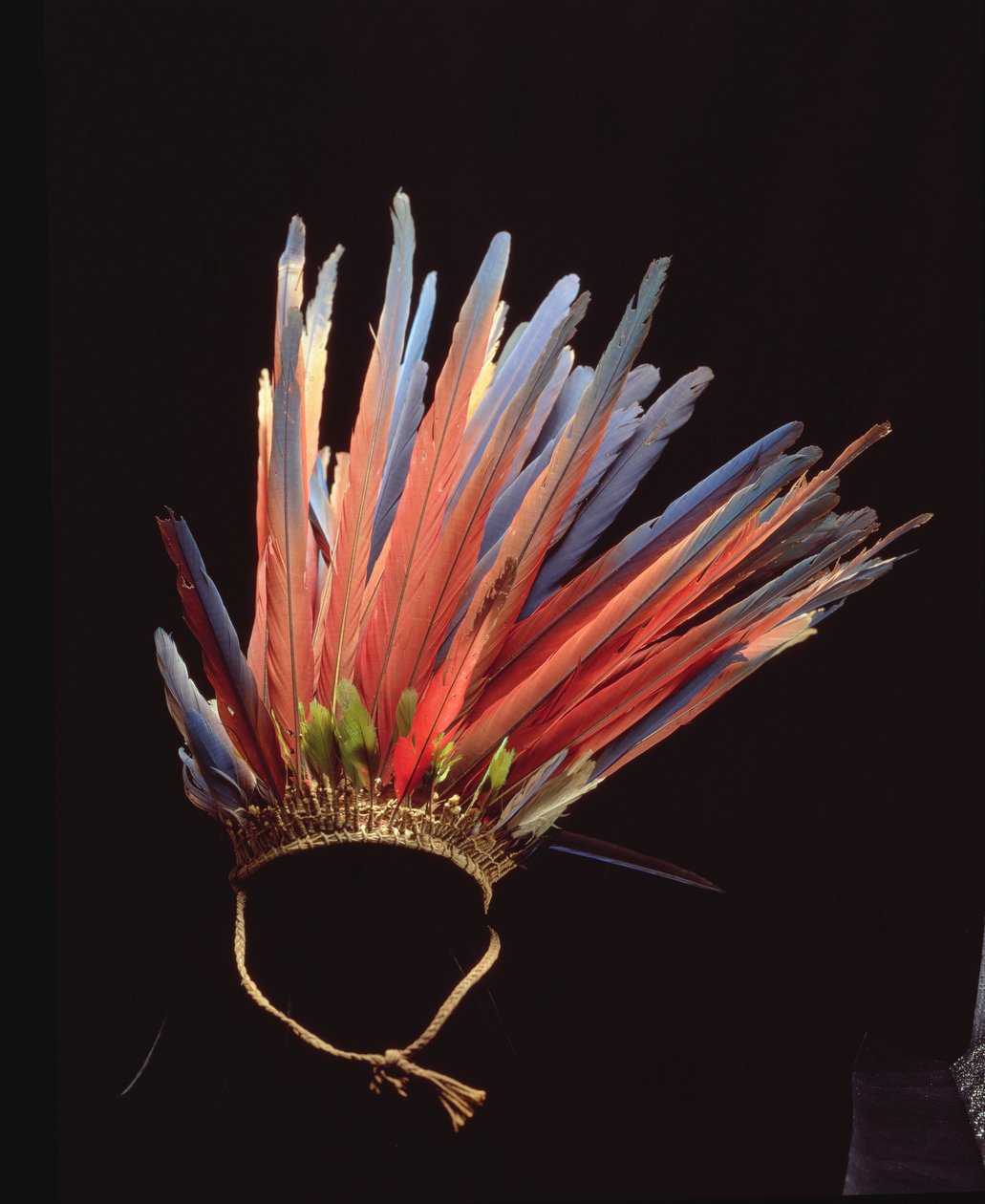 Toucado, antes de c.1853 (fibra e penas) de School Brazilian
