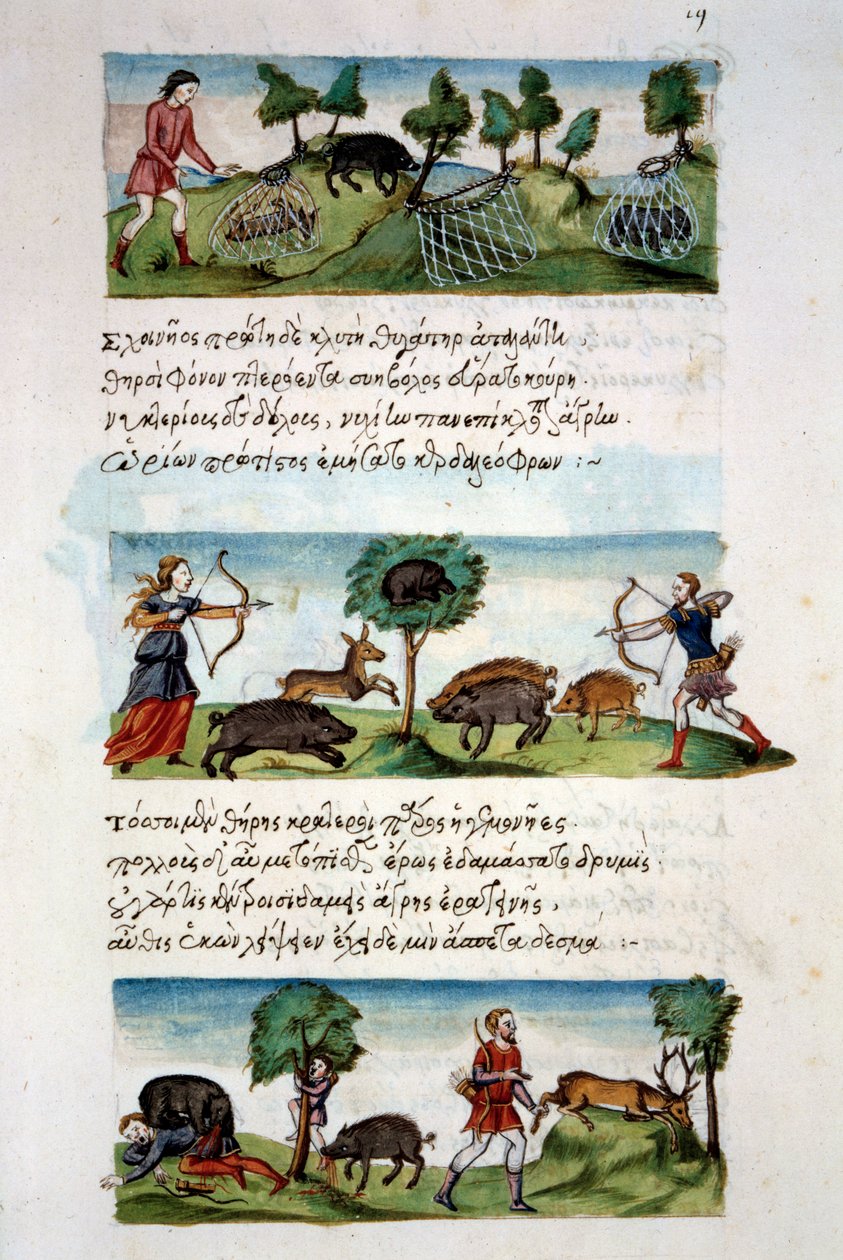 Art Byzantium: caça ao javali. Diferentes técnicas de caça. Top: captura de beterrabas em redes. Na caça ao centro, a caça por um arco. Em baixo: ataque de caçadores por animais. Miniatura no fólio "De venatione" 19, por opositor da Síria. de School Byzantine
