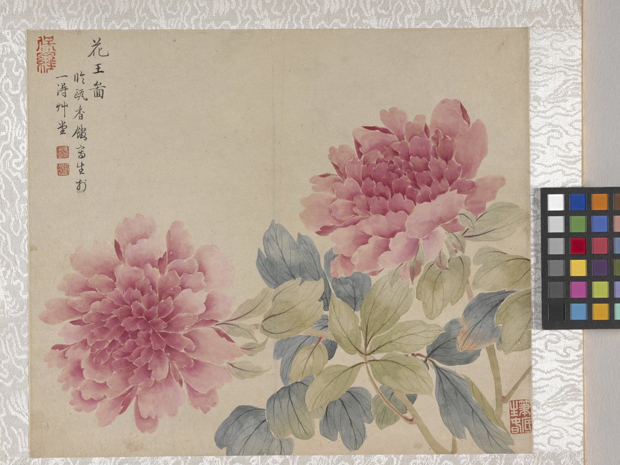 Álbum de 8 folhas de flores, meados de 1700 (tinta e cor sobre papel) de School Chinese