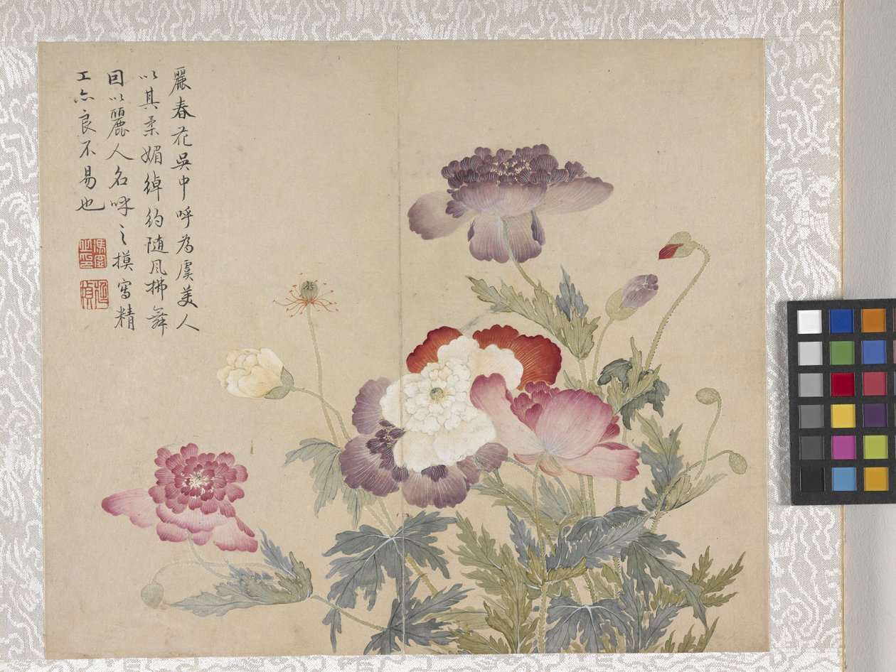 Álbum de 8 folhas de flores, meados de 1700 (tinta e cor sobre papel) de School Chinese