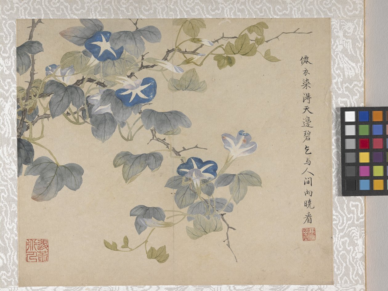 Álbum de 8 folhas de flores, meados de 1700 (tinta e cor sobre papel) de School Chinese