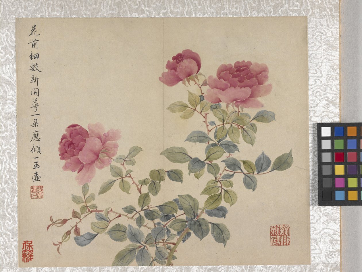 Álbum de 8 folhas de flores, meados de 1700 (tinta e cor sobre papel) de School Chinese