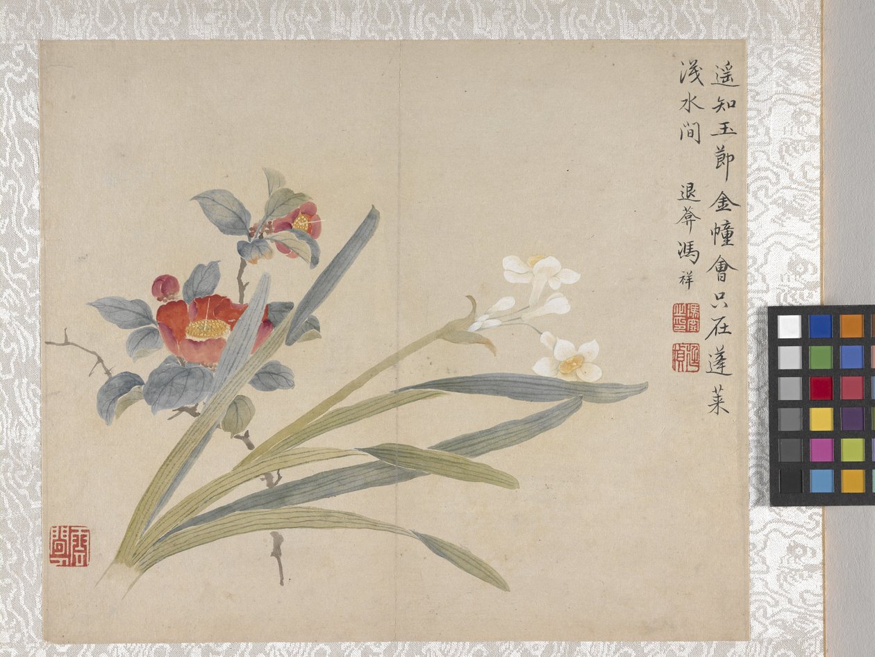 Álbum de 8 folhas de flores, meados de 1700 (tinta e cor sobre papel) de School Chinese