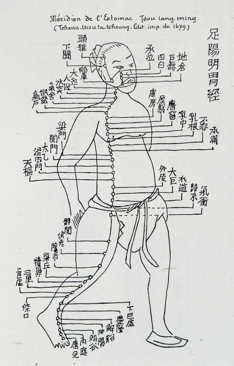 Acupunctura: "Meridiano do estômago", Ed. de School Chinese