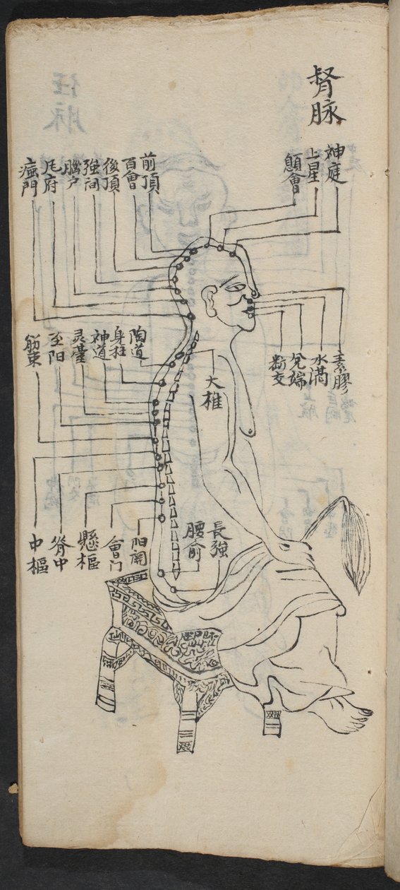 Pontos de acupuntura ao longo da coluna e cabeça, de Jing Guan Qi Zhi, 