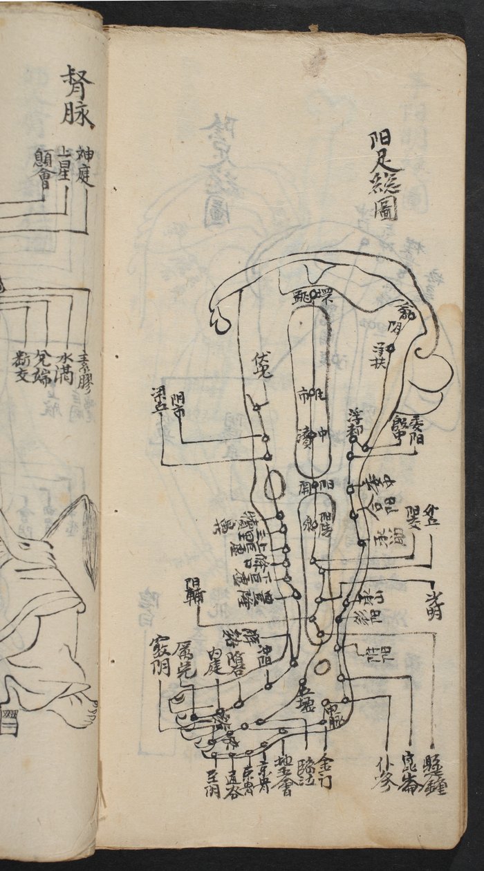 Pontos de acupuntura na perna, de Jing Guan Qi Zhi, 
