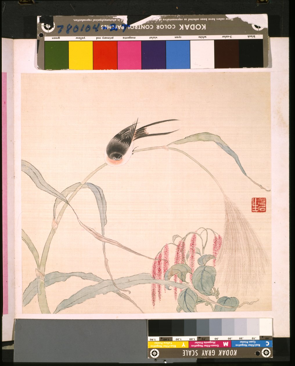 Álbum de flores e pássaros de School Chinese