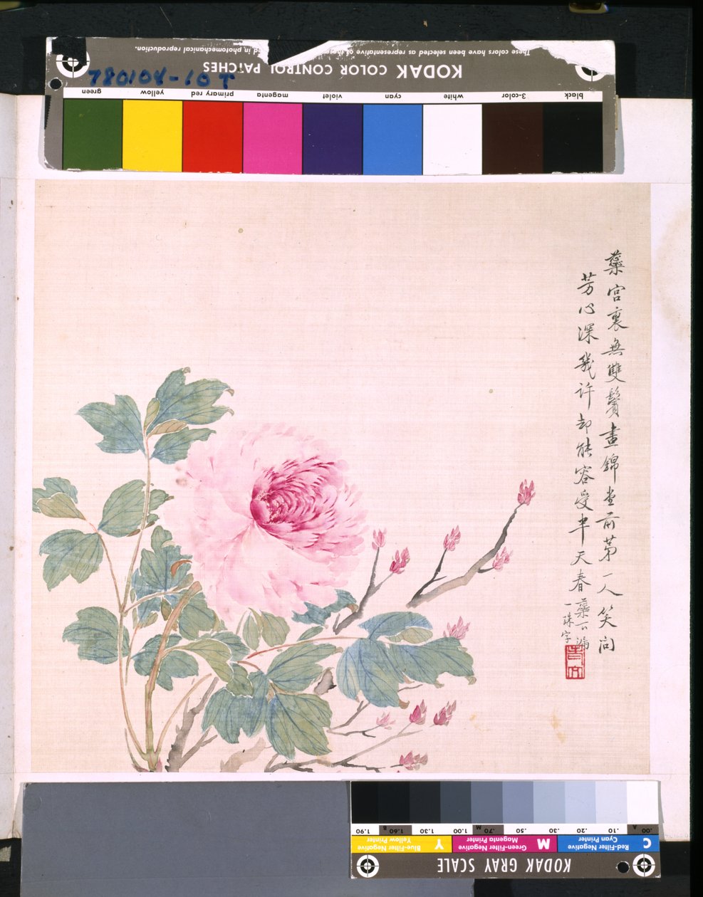 Álbum de flores e pássaros, data desconhecida (tinta e cor sobre seda) de School Chinese