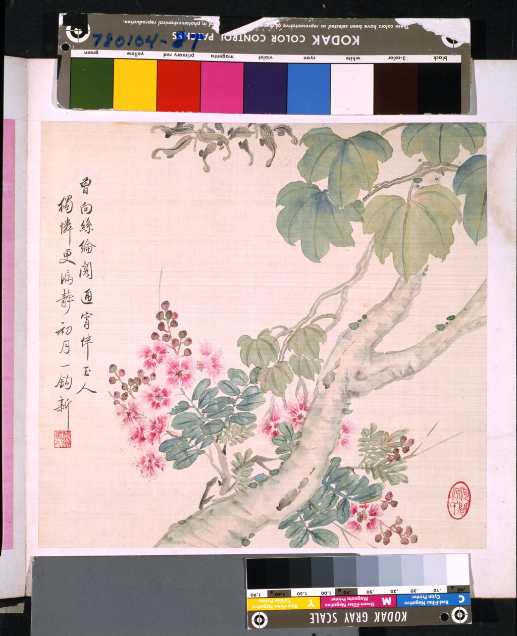 Álbum de flores e pássaros, data desconhecida (tinta e cor sobre seda) de School Chinese