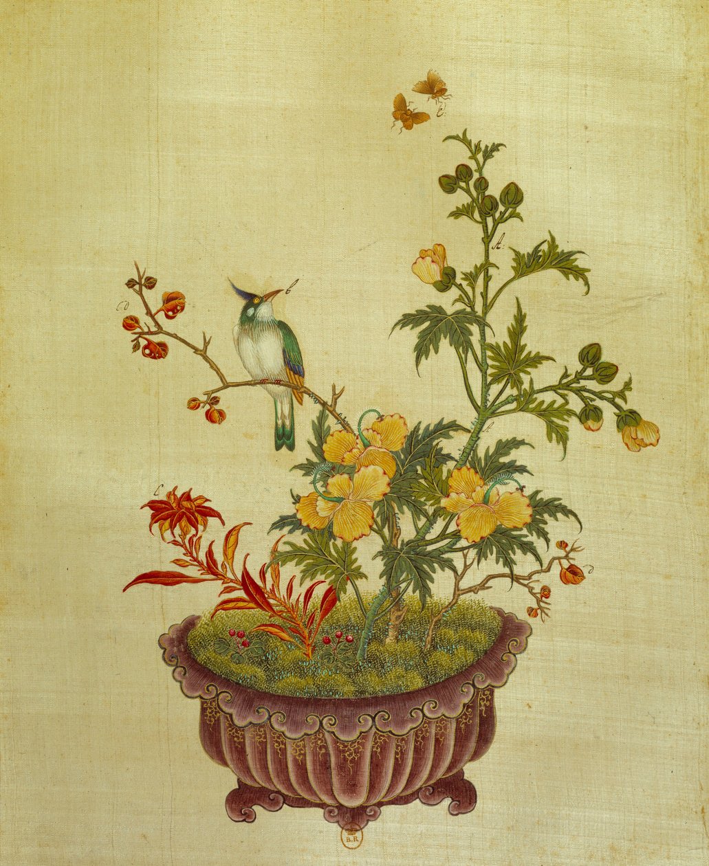 Arte China: pintura sobre flores de seda e pássaros. Anónimo do século XVIII. Paris, BN de School Chinese
