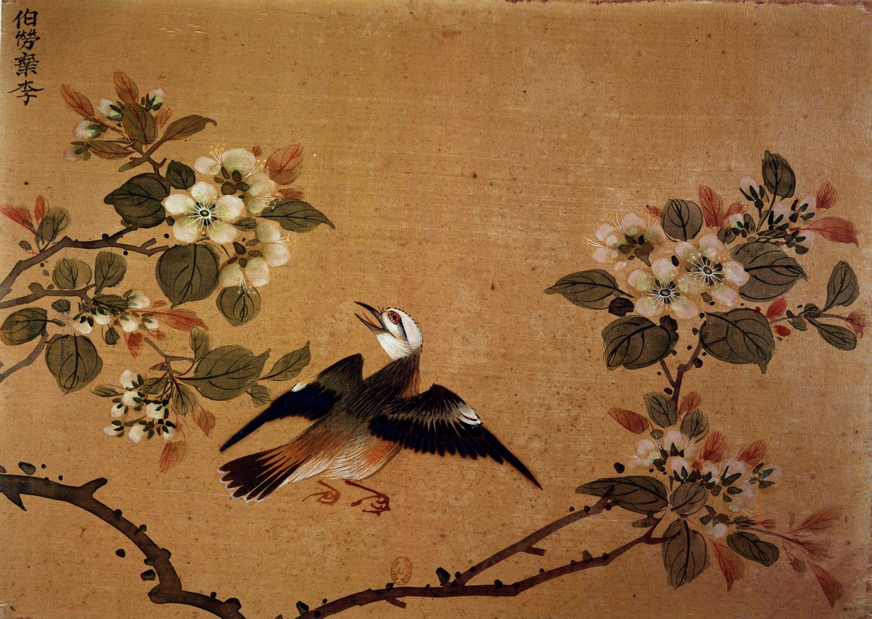 Arte chinesa: pássaro e flores. Pintura em seda do século XVI. Paris, B.N. de School Chinese