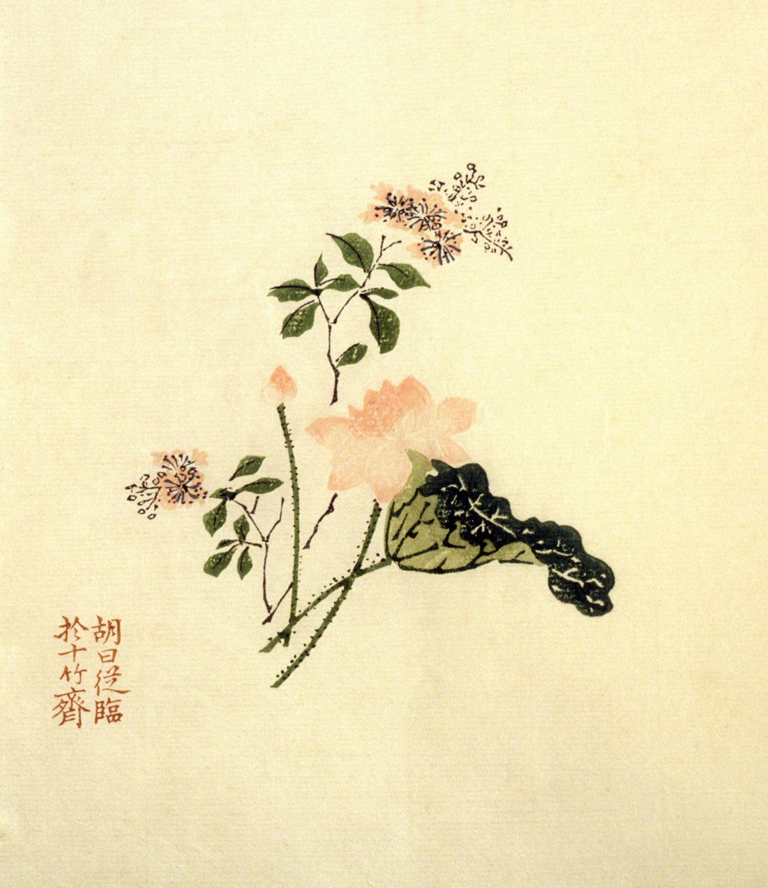 Flor de Lotus - tinta sobre papel, ChineLotus flor - tinta sobre papel, China de School Chinese