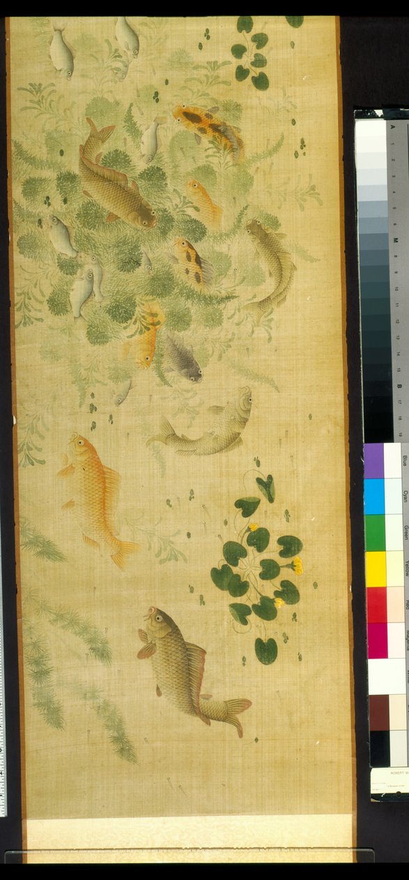 Myriad Fish In Audience With Carp (tinta e cor sobre seda) de School Chinese