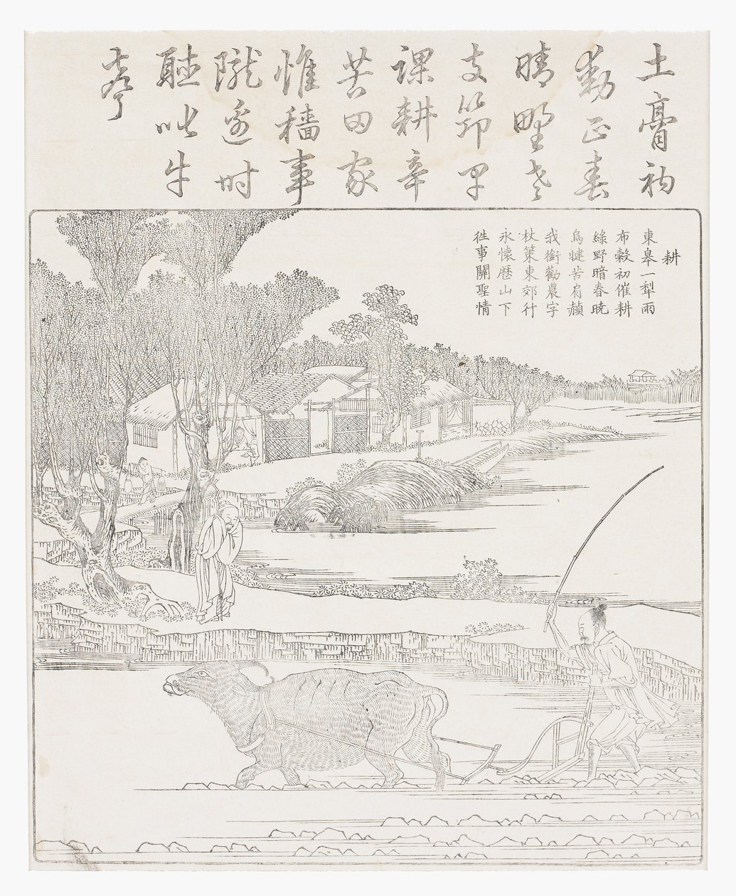 Arando com um búfalo em arrozal lamacento. de School Chinese