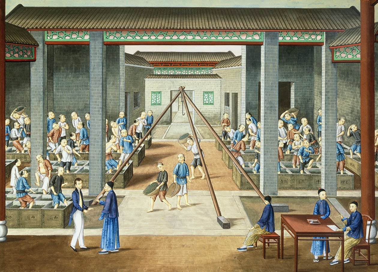Cultura do chá: pesar e comprar chá (guache sobre papel) de School Chinese