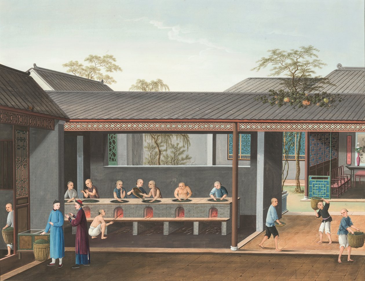 Produção de chá, c. 1820 (aguarela e tinta dourada sobre seda aplicada sobre papel) de School Chinese