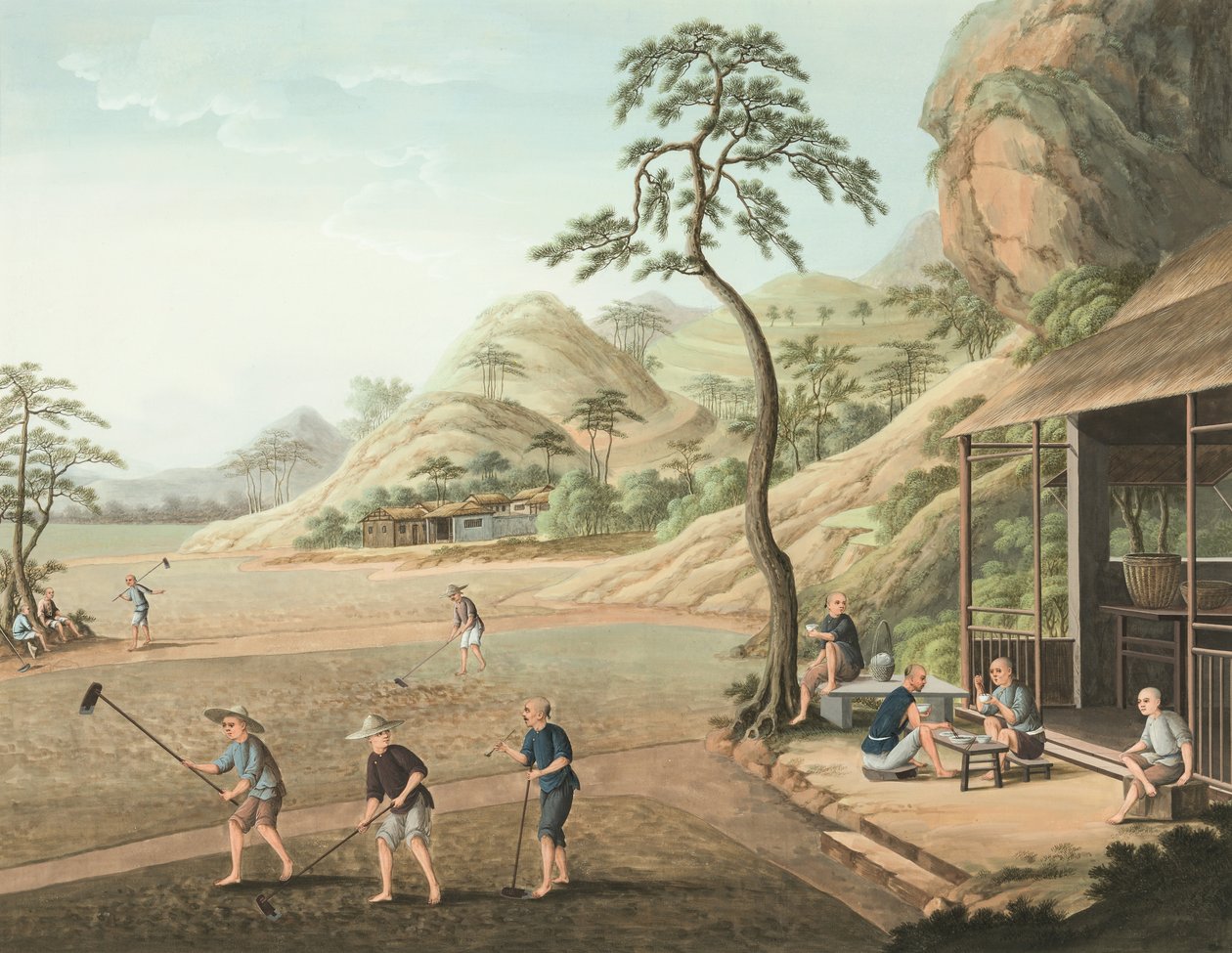 Produção de chá, c. 1820 (aguarela e tinta dourada sobre seda aplicada sobre papel) de School Chinese