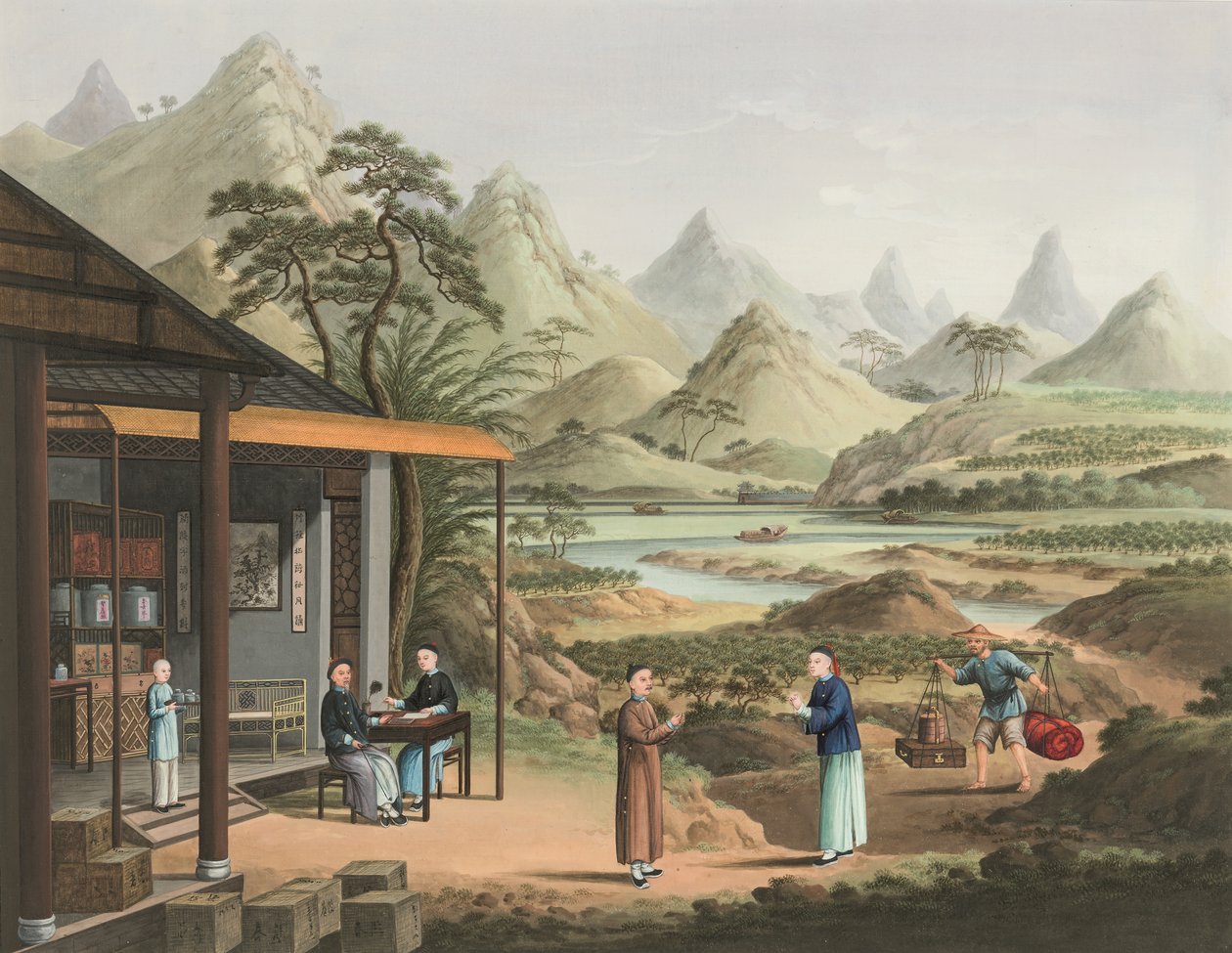 Produção de chá, c. 1820 (aguarela e tinta dourada sobre seda aplicada sobre papel) de School Chinese