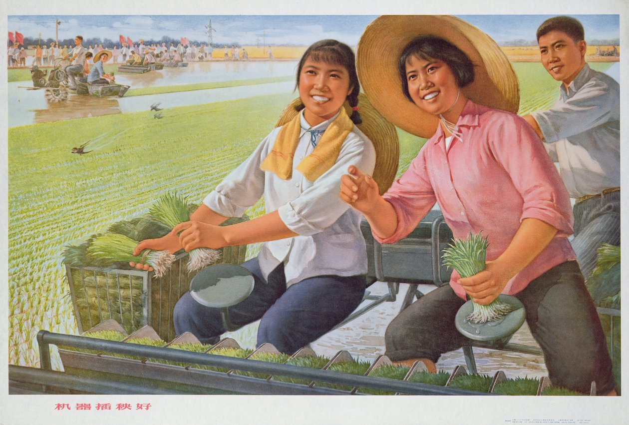 Transplante de sementes com uma máquina é bom, cartaz de propaganda da Revolução Cultural Chinesa de School Chinese