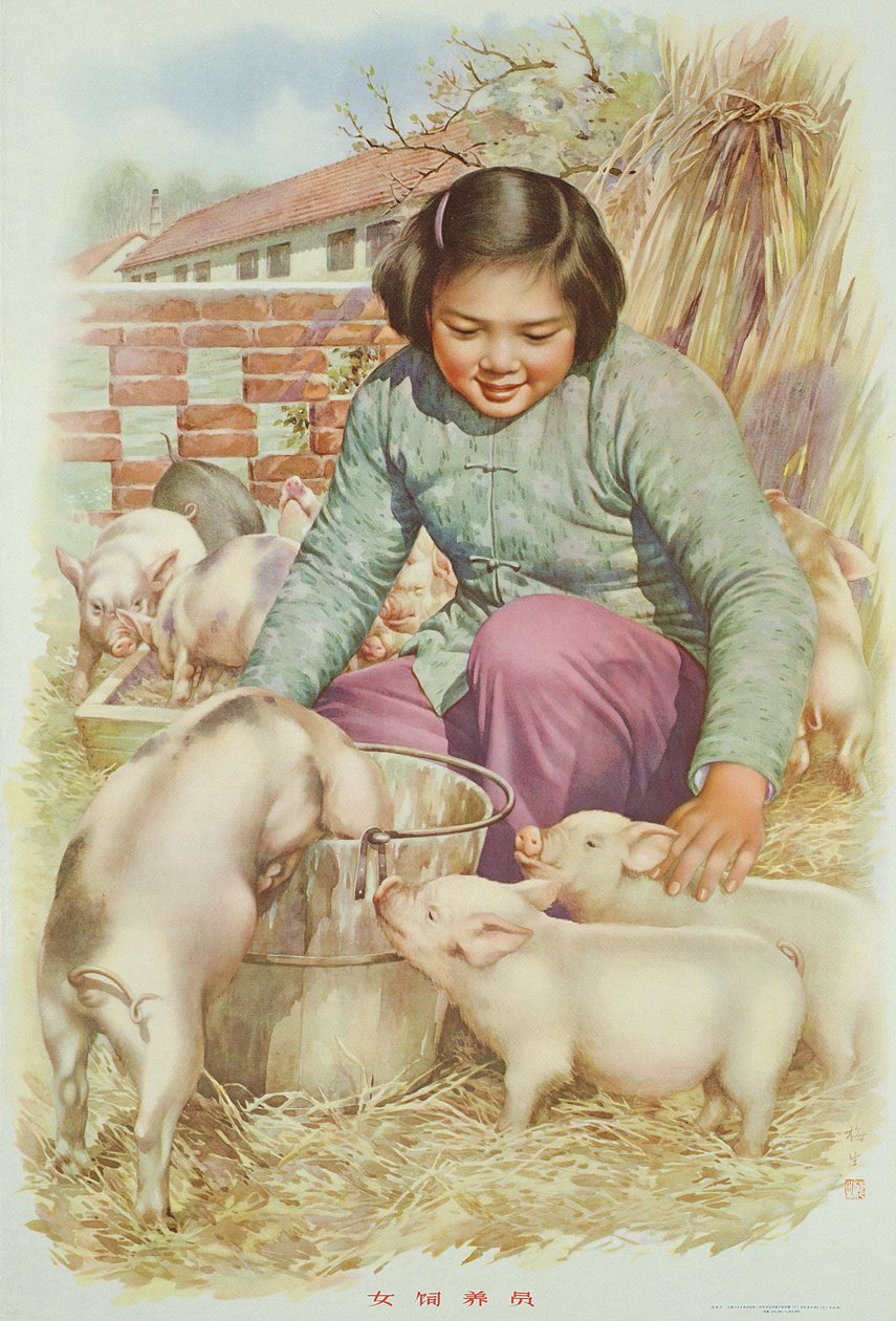 Mulher criadora de porcos (ou criadora de porcos), cartaz de propaganda da Revolução Cultural Chinesa (litografia a cores) de School Chinese