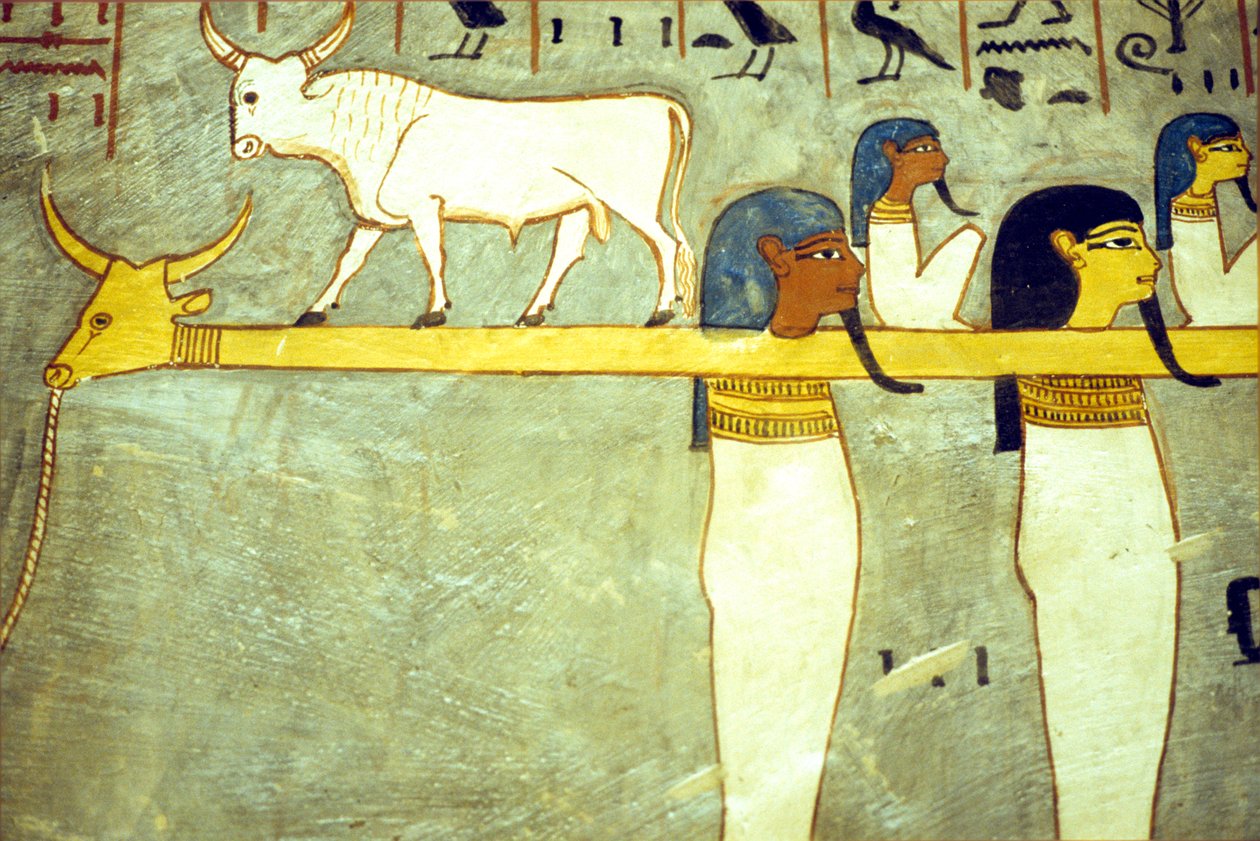Antigo Egito, Pintura, Deuses do submundo amarrados a Hathor, vaca divina, rebocando a barca solar, Túmulo de Ramsés I, Tebas de School Egyptian