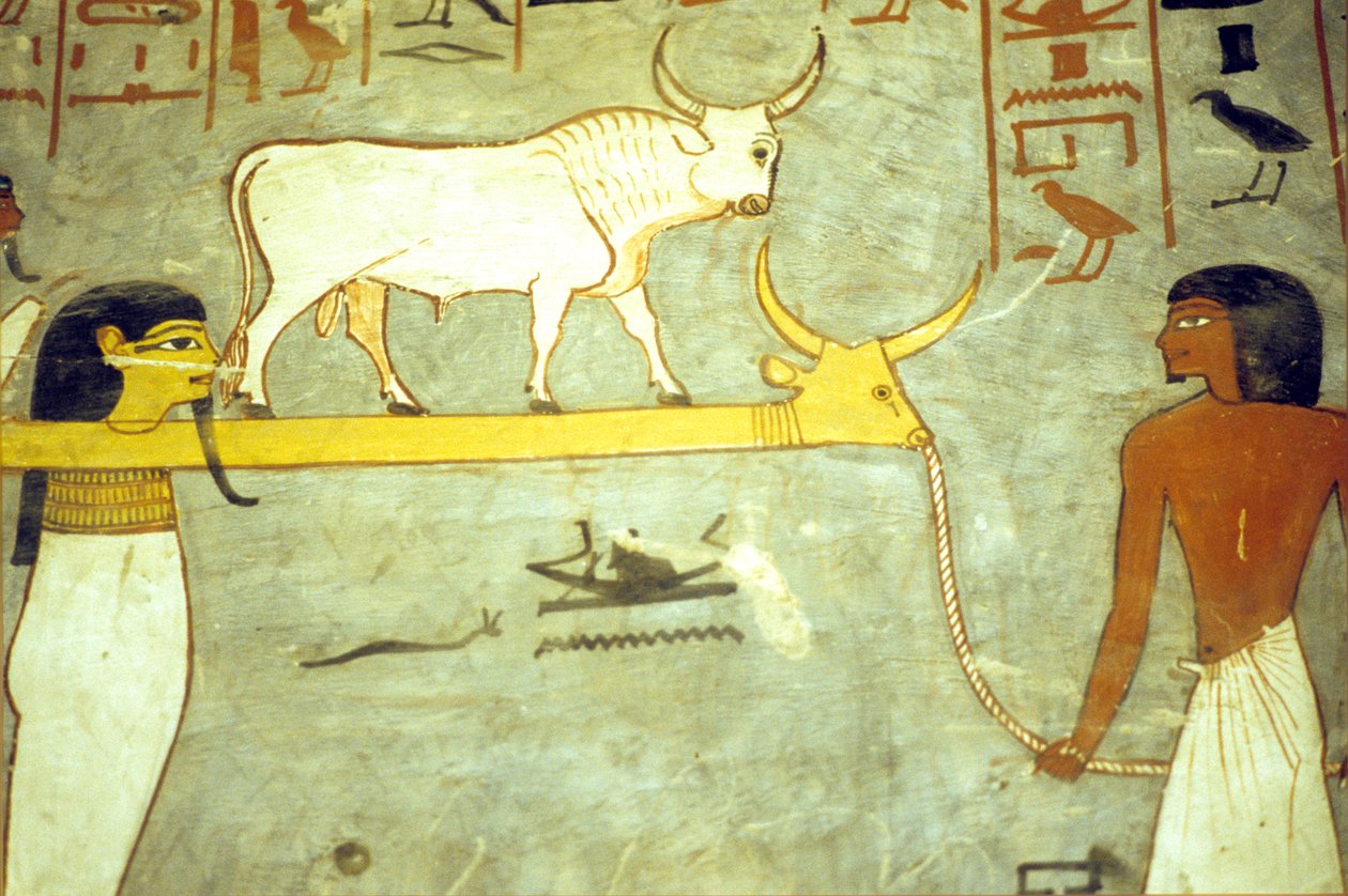 Antigo Egipto, Pintura, Túmulo de Ramsés I, Deuses do submundo amarrados a Hathor, rebocando uma barca solar de School Egyptian