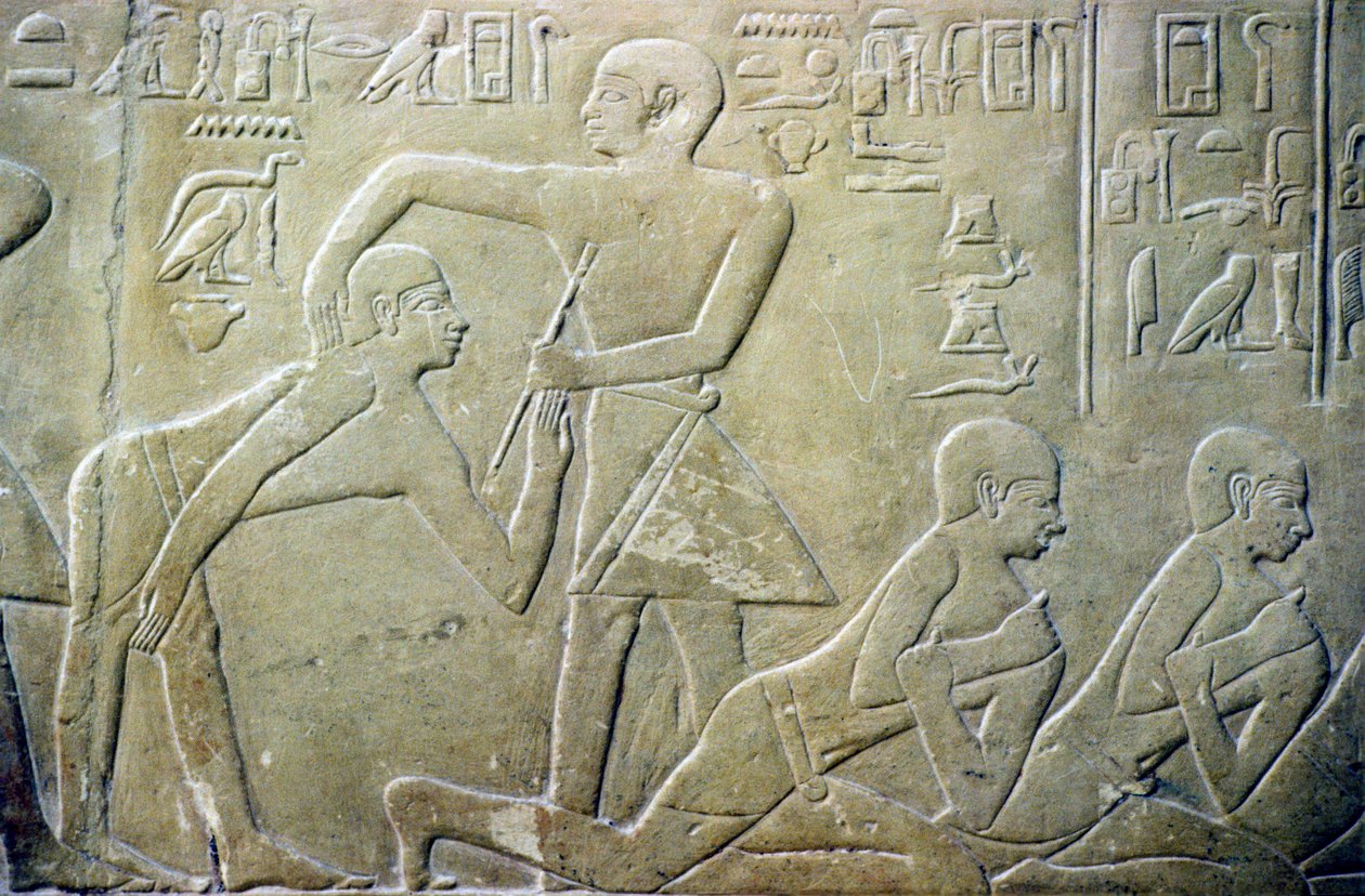 Antigo Egipto, Relevo, Anciãos das aldeias obrigados a admitir as suas declarações fiscais incorrectas aos funcionários, Túmulo de Merereuka, 6ª dinastia (foto) de School Egyptian