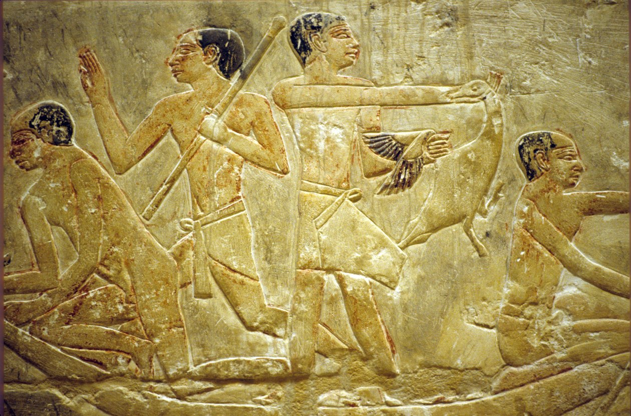 Antigo Egipto, Escultura mural/pintura, Mastaba/Túmulo de Idout, Sakkara/Saqqara, Aprisionamento de aves no pântano, 6ª Dinastia (foto) de School Egyptian