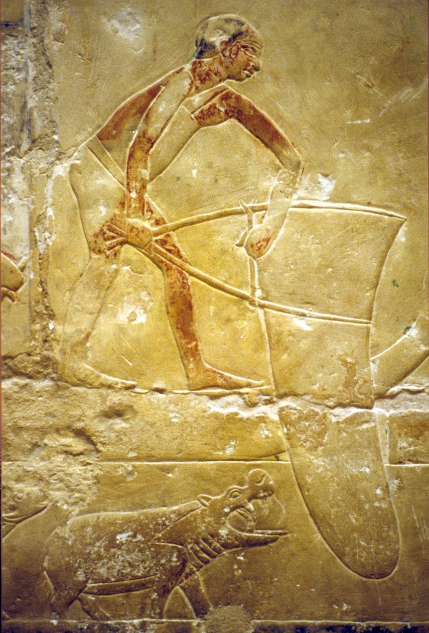 Antigo Egito, Escultura mural/pintura, Mastaba/Túmulo de Idout, Saqqara, 6ª Dinastia, Pesca com rede, Hipopótamo (foto) de School Egyptian