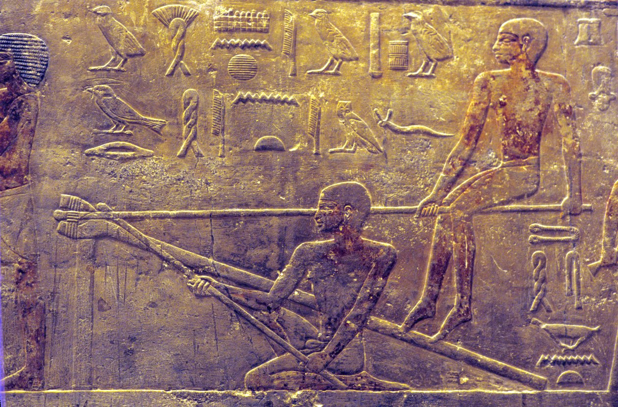 Antigo Egipto, Escultura/Pintura mural, Mastaba/Túmulo de Ti, Saqqara, 5ª Dinastia, Construção naval (foto) de School Egyptian