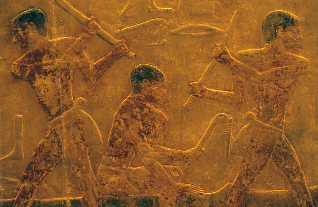 Antigo Egito, Escultura/Pintura mural, Mastaba/Túmulo de Ti, Saqqara, 5ª Dinastia, Construção naval (foto) de School Egyptian