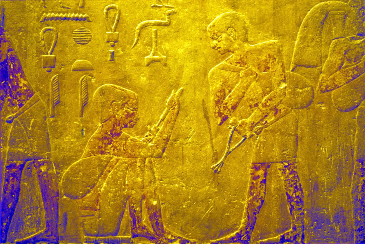 Antigo Egipto, Entalhe/pintura mural, Mastaba/Túmulo de Ti, Saqqara, 5.ª Dinastia, Troca de bens no mercado (foto) de School Egyptian