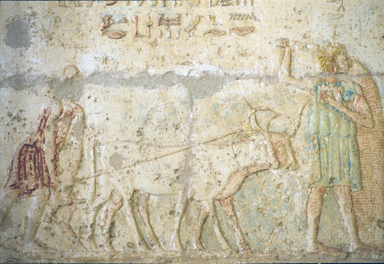 Antigo Egipto, Entalhe/pintura mural, Túmulo de Petosiris, Tuna el Gebel, 300 a.C., Lavoura e sementeira (foto) de School Egyptian