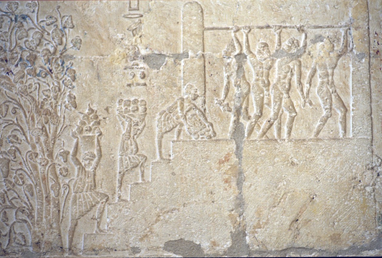 Egipto antigo, Entalhe/pintura mural, Túmulo de Petosiris, Tuna el Gebel, 300 a.C., Vindima, Fabrico de vinho, Lagar (foto) de School Egyptian