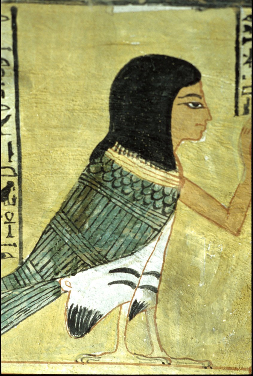 Antigo Egipto, Pintura mural Túmulo de Inherkhau, Tebas, Túmulo dos Nobres, 20ª dinastia, Ba ou alma de Inherkhau (foto) de School Egyptian