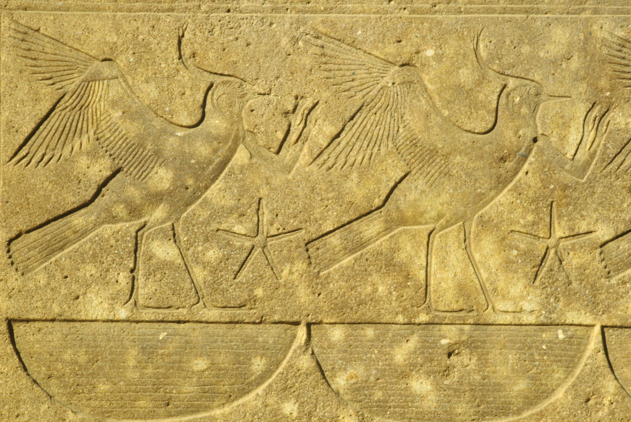 Antigo Egito, Pintura/gravura mural, Abibes, representando as várias tribos do Egito, Templo de Karnak, Luxor (foto) de School Egyptian