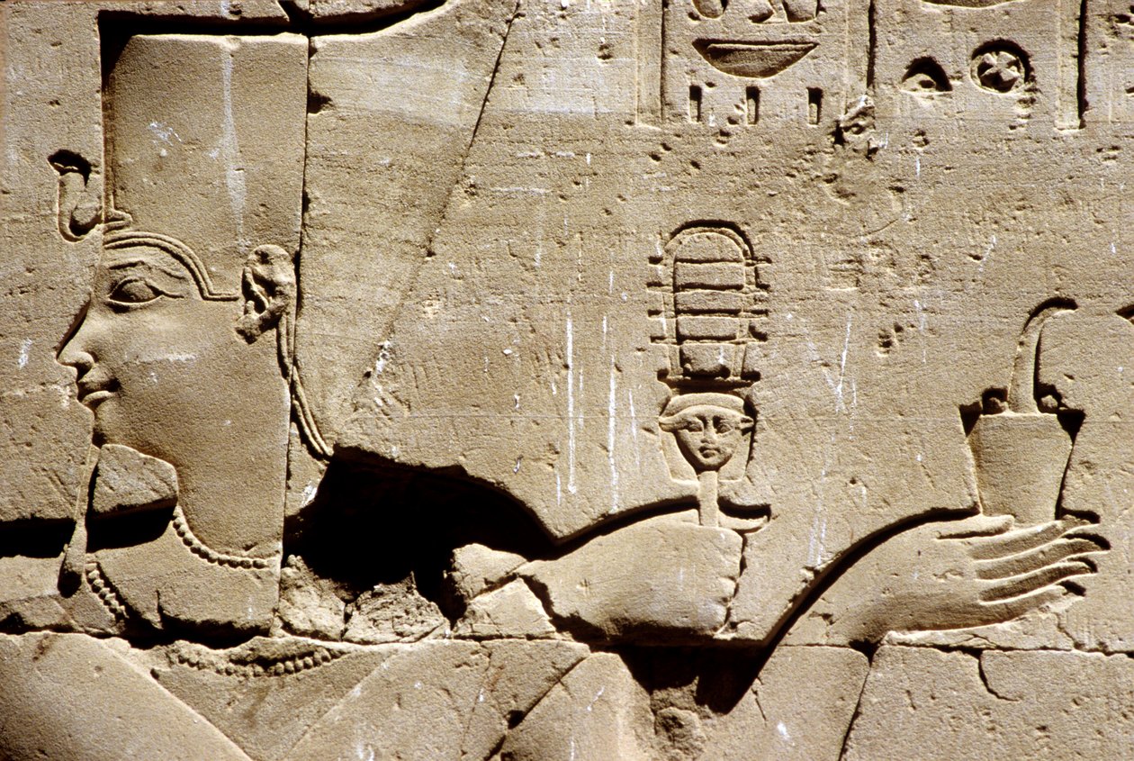 Antigo Egipto, Pintura/gravura mural, O faraó Ptolomeu abanando um sistrema e oferecendo incenso, Templo de Hórus, Edfu (foto) de School Egyptian