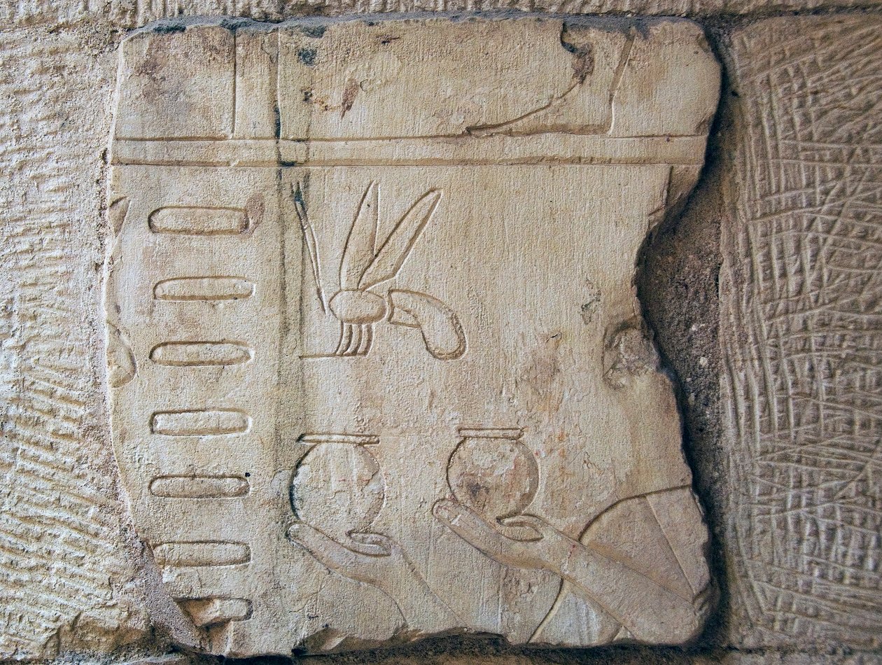 Detalhe de um Relevo, Luxor (pedra) de School Egyptian