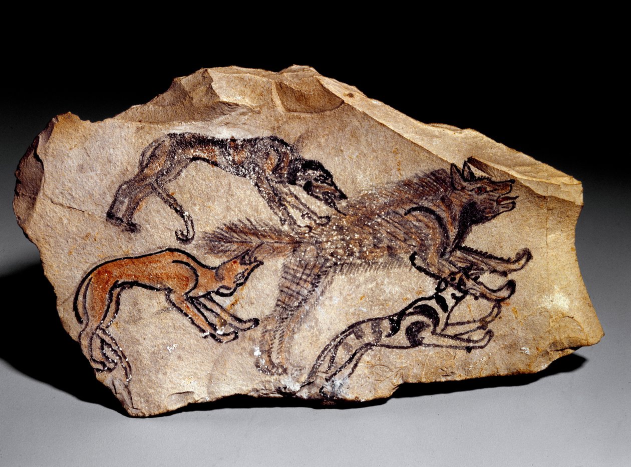Cães caçando hienas (Gravura em pedra, c.1300-1100 BC) de School Egyptian