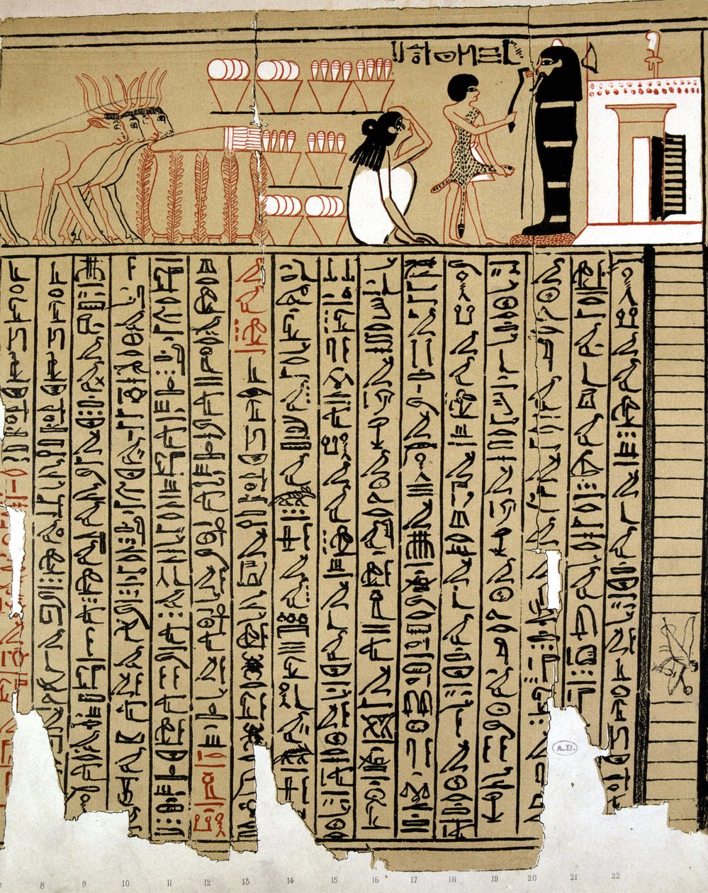 Hieróglifos Egípcios de School Egyptian