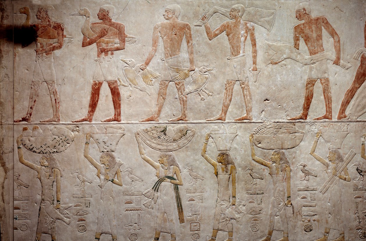 Antiquidade egípcia: homens carregando patos. Relevo calcário da Capela de Mastaba de Akhethetep em Saqqara. 5ª dinastia (cerca de 2500-2350 AC) 2300 AC. Paris, Museu do Louvre de School Egyptian