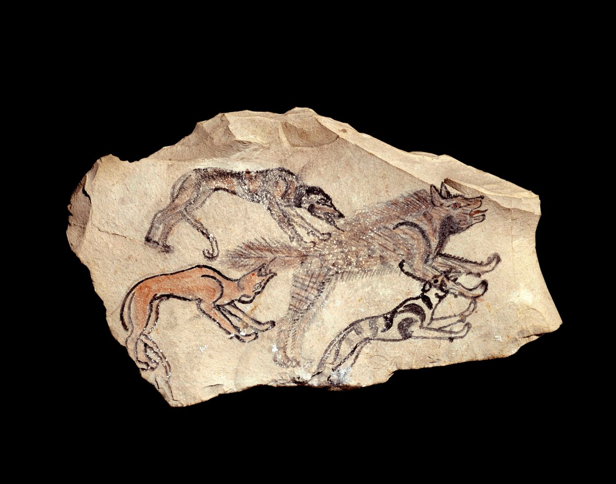 Antiquite egípcia: ostraca (ou ostracon) (plural: ostraca ou ostraka) (cerâmica) em pedra calcária representando três cães caçando uma hiena. 1300-1070 AC. Sol. 0,15x0,08 m de Deir el Medineh. Paris, Museu do Louvre de School Egyptian
