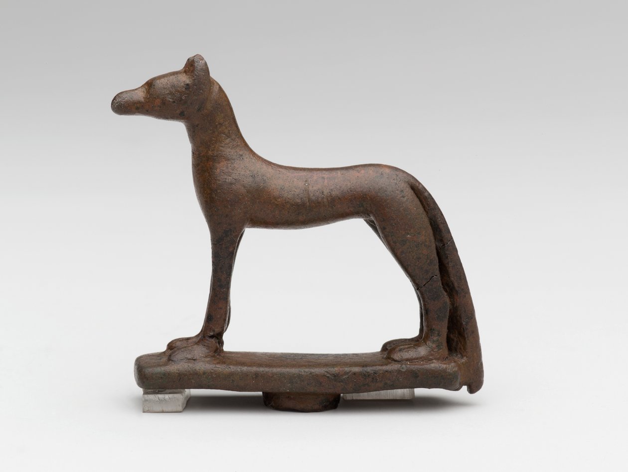 Chacal ou cão (bronze) de School Egyptian