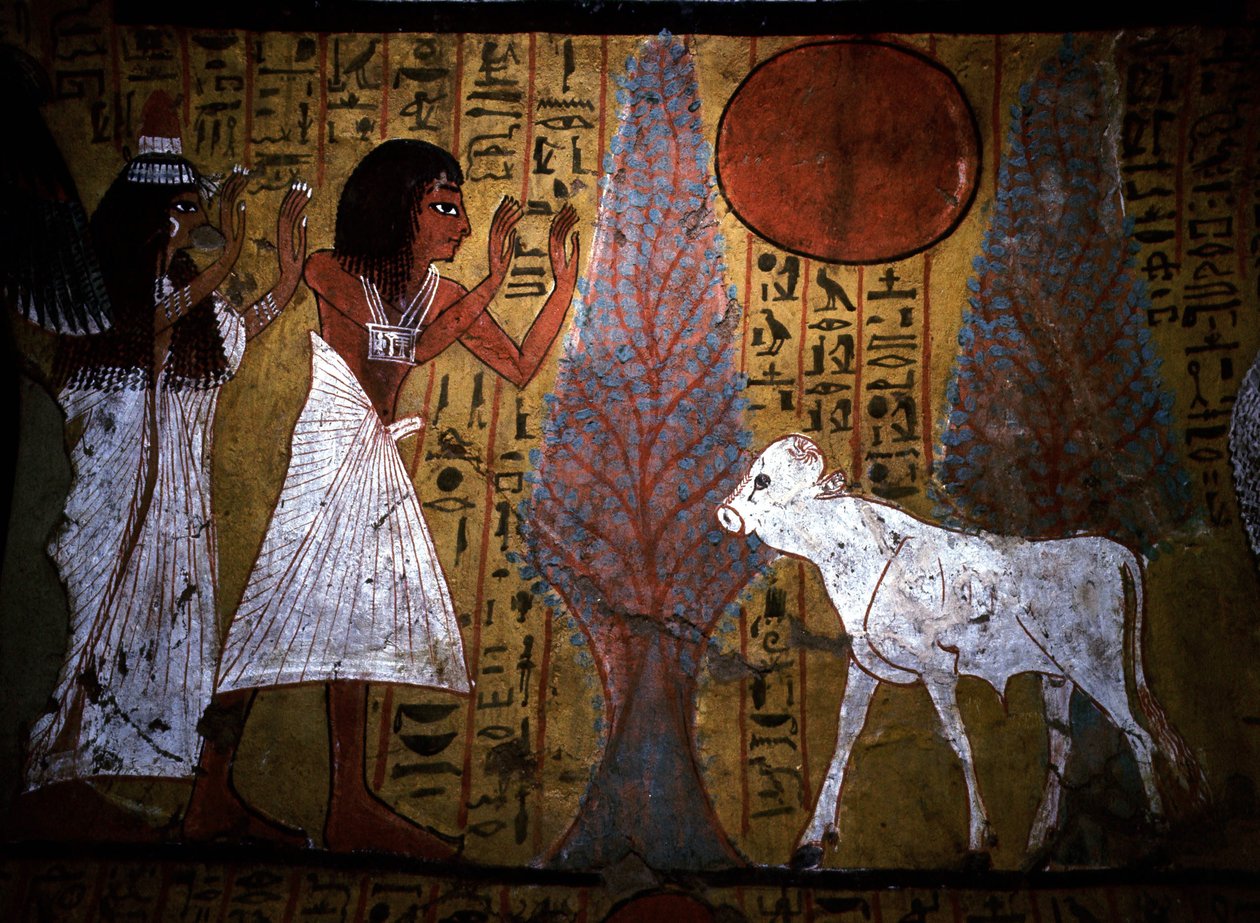 Luxor - Tebas: Margem esquerda do Nilo. Site de DEIR EL MEDINEH: Aldeia e necrópole de artesãos. Pormenor de um mural de um túmulo que mostra o bezerro, de pernas ainda finas e frágeis, encarna o futuro apis.19ª Dinastia. de School Egyptian