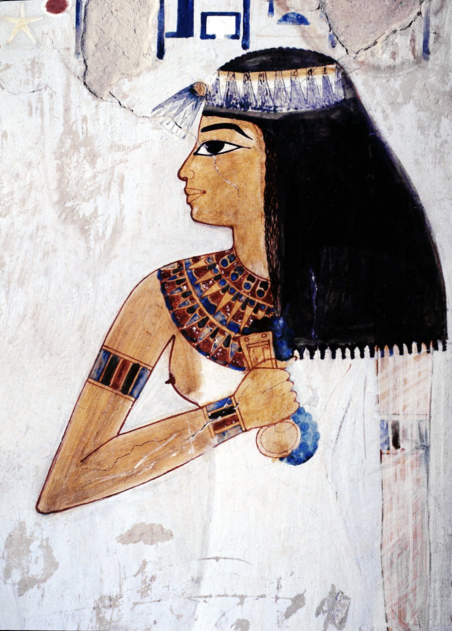Luxor Tebas: Cisjordânia, Necrópole dos Nobres, Vale dos Nobres. Túmulo de Menna (18ª Dinastia). de School Egyptian