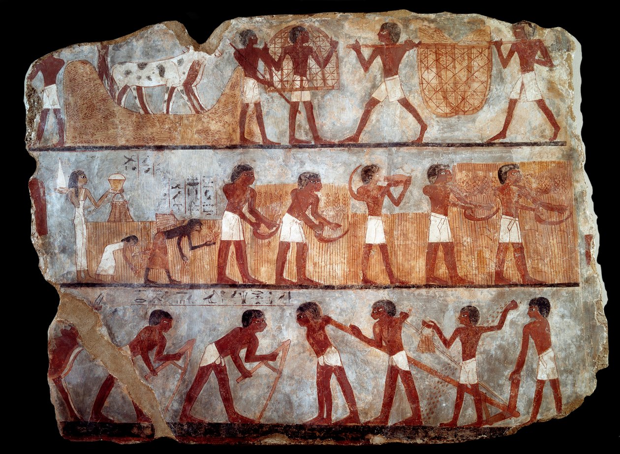 Semear e recordar do túmulo do escriba Unsou (fresco) de School Egyptian