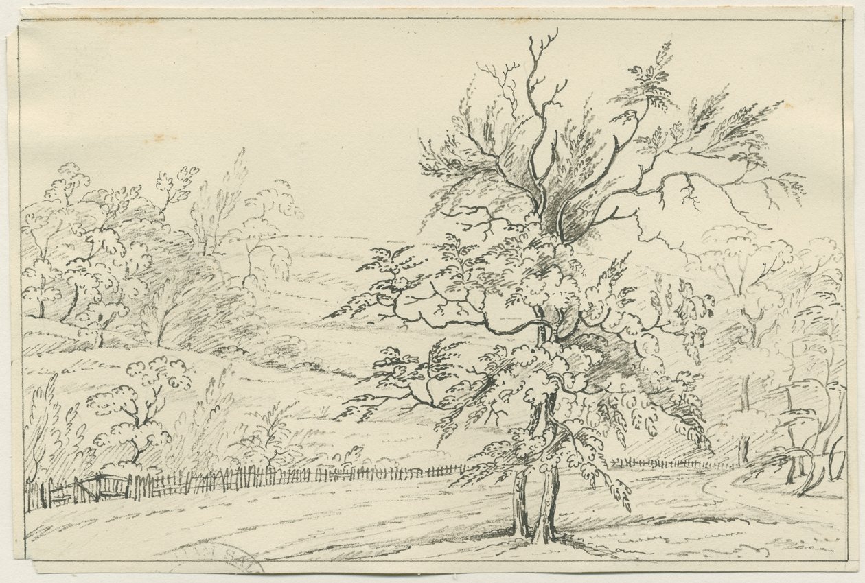 Cannock Chase: desenho a lápis e caneta, nd [?19 cent] (desenho) de School English
